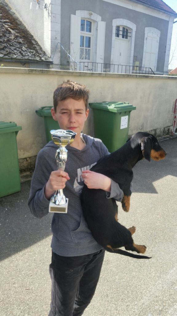 De la plaine aux lièvres - Maya meilleur chien de la journée