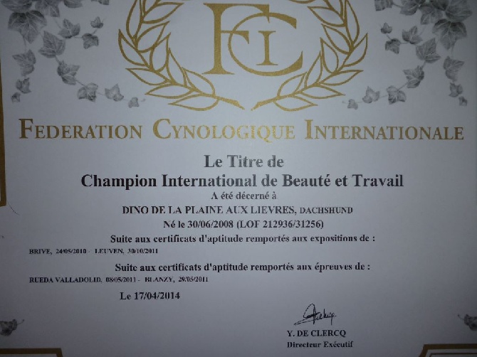 De la plaine aux lièvres - Septième, titre de champion pour Dino